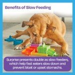Interactive Dog Puzzle Feeder - Fun Treat Toy