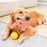 Floppy Lobster Interactive Jumping Dog Toy