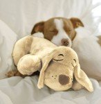 Huggie Pup Cuddly Toy for Puppy Training