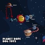 5-Pack Durable Squeaky Plush Dog Chew Toys