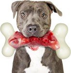 Indestructible Dog Toys for Aggressive Chewers