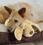 Huggie Pup Cuddly Toy for Puppy Training