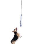 Premium Portable Dog Training Behavior Toy