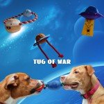 5-Pack Durable Squeaky Plush Dog Chew Toys