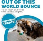 Outward Hound Orbee-Tuff Treat-Dispensing Planet Ball