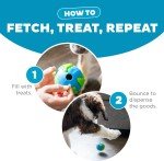 Outward Hound Orbee-Tuff Treat-Dispensing Planet Ball