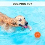 3-Pack Squeaky Floating Dog Toy Balls