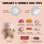 9-in-1 Squeaky Pig Dog Chew Toy Set