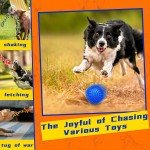 Zeaxuie Tough Dog Toys 12-Pack for Small Dogs