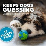 Outward Hound Orbee-Tuff Treat-Dispensing Planet Ball