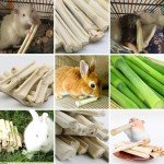 Bamboo Chew Sticks for Small Dogs & Puppies