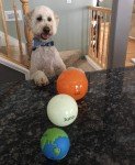 Outward Hound Orbee-Tuff Treat-Dispensing Planet Ball
