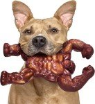 Tough Indestructible Dog Toys for Aggressive Chewers
