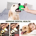 3-Pack Squeaky Floating Dog Toy Balls