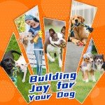 Zeaxuie Tough Dog Toys 12-Pack for Small Dogs