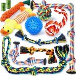 Zeaxuie Tough Dog Toys 12-Pack for Small Dogs