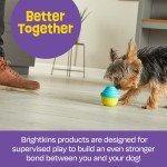 Interactive Small Cupcake Treat Dispenser for Dogs