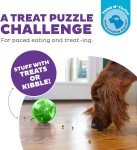 Interactive Treat Dispensing Dog Puzzle Ball - Green