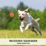 3-Pack Squeaky Floating Dog Toy Balls