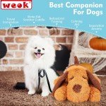 Heartbeat Puppy Toy - Calming Comfort Cuddler Pillow