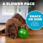 Interactive Treat Dispensing Dog Puzzle Ball - Green
