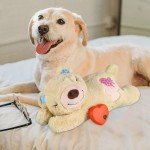 Heartbeat Puppy Sleep Aid and Training Toy