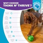 Interactive Treat Dispensing Dog Puzzle Ball - Green