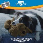 HuggiePup - Cuddly Puppy Training Toy