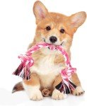 3-Knot Chew Rope Toy for Medium & Small Dogs