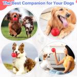 Tough Indestructible Chew Ball for Pitbull Puppies