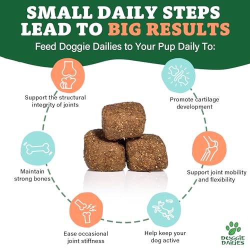 Premium Dog Joint Supplement with 120 Chews