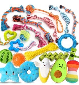 25 Luxury Chew Toys for Puppies Pack