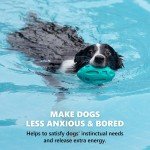 Indestructible Squeaky Fetch Ball for Aggressive Chewers