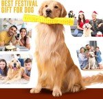 Interactive Squeaky Toys for Aggressive Chewing Dogs