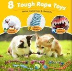 25 Premium Chew Toys for Puppies