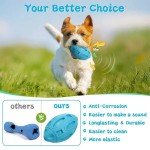 Indestructible Squeaky Fetch Ball for Aggressive Chewers