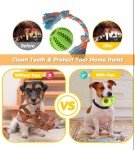 25 Premium Chew Toys for Puppies