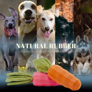 Set of 2 Squeaky Rubber Carrot Chew Toys