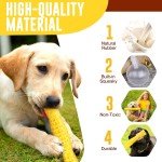Interactive Tough Rubber Squeaky Toys for Dogs