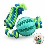 Rubber Chew Ball Toy with Rope for Dogs