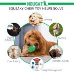 Durable Squeaky Dog Toys for Aggressive Chewers