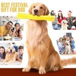 Interactive Squeaky Toys for Aggressive Chewers