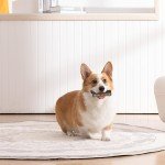 Indestructible Chew Toys for Aggressive Dogs