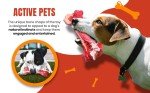 Durable 2-Pack Indestructible Dog Chew Toys