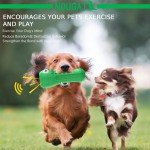 Durable Squeaky Dog Toys for Aggressive Chewers