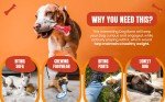 Durable 2-Pack Indestructible Dog Chew Toys