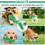 Durable Squeaky Dog Toys for Aggressive Chewers