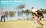 UFO Design Treat Dispensing Dog Chew Toy