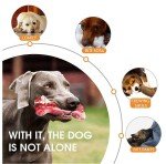 Durable 2-Pack Indestructible Dog Chew Toys