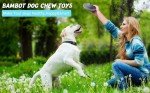 UFO Design Treat Dispensing Dog Chew Toy